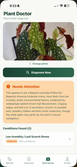 Screenshot von FloraHaven - Plantify auf dem iPhone 4