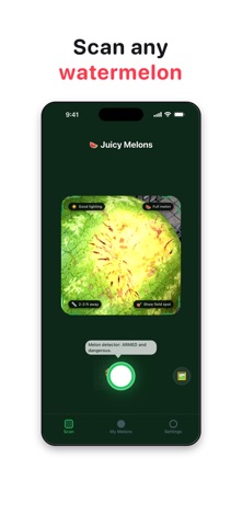 Juicy Melons screenshot