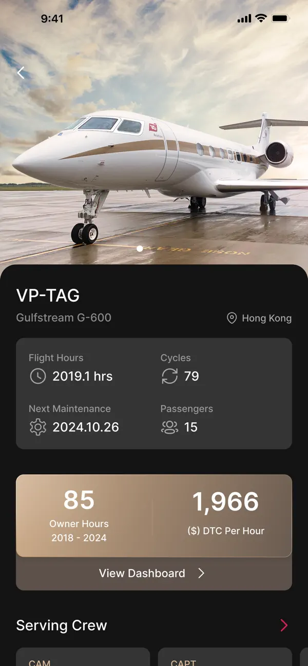 Screenshot #3 pour TAG Flight