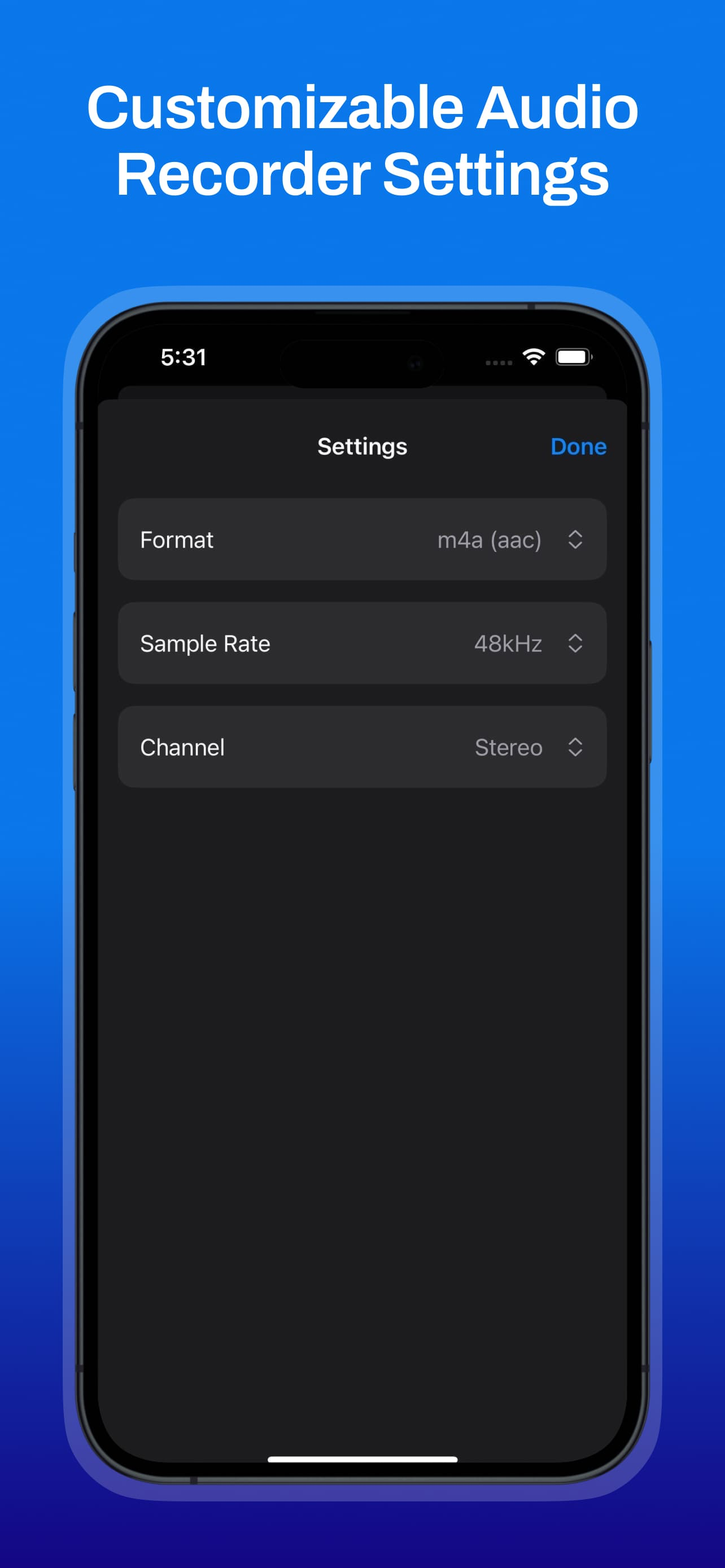 Audio Noise Reducer & Recorder
