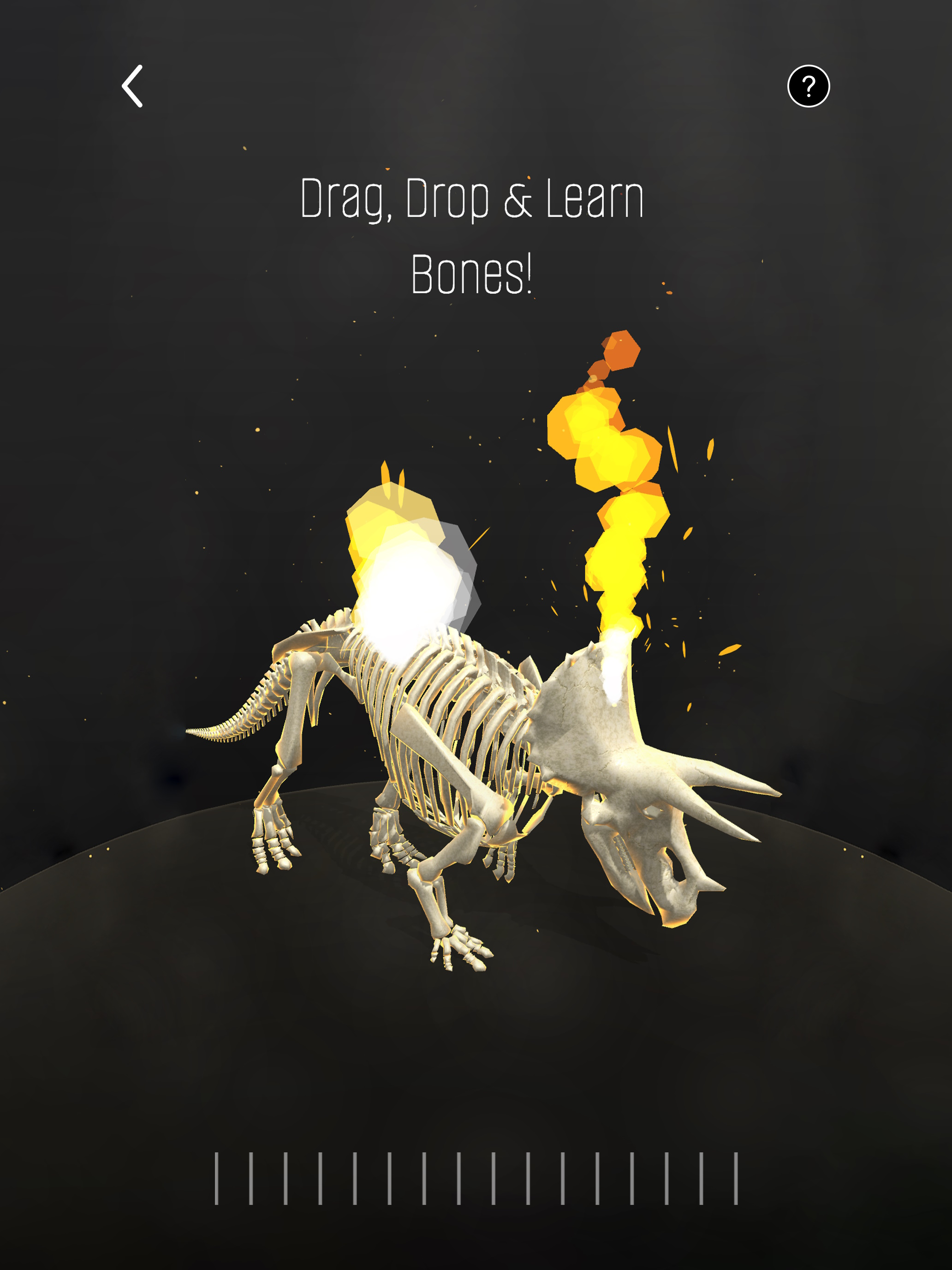 Skeleton Puzzle: Learn Anatomy screenshot 15