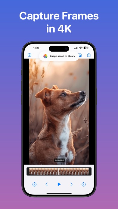 Frame Grabber - Video to Photo Screenshot