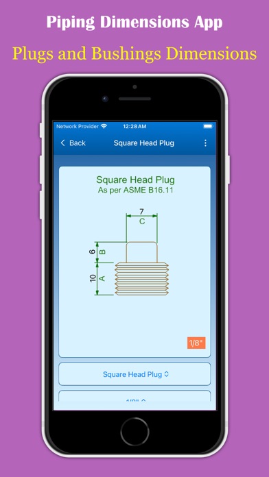 Piping Dimensions App Screenshot
