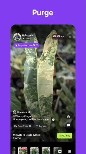 Palmstreet: Buy & Sell LIVE screenshot 4