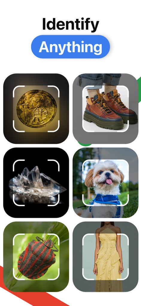 Lens AI: Identify Anything - This app displays its comprehensive identification range, from recognizing a vintage coin to discerning a dog breed.