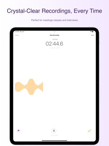 Voice Recorder: Dictaphone iPad screenshot