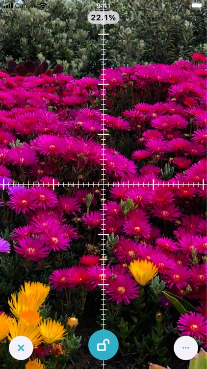 Lightbox for Tracing