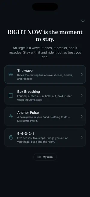 Fjara – Let Habits Go screenshot 3