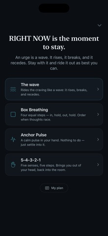 Fjara – Let Habits Go Screenshot 3 of 4