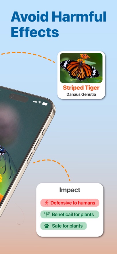 InsectAI - Bug Identifier