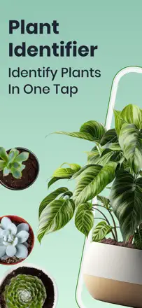 Plant & Bug Identifier : capture d’écran 1 sur 7