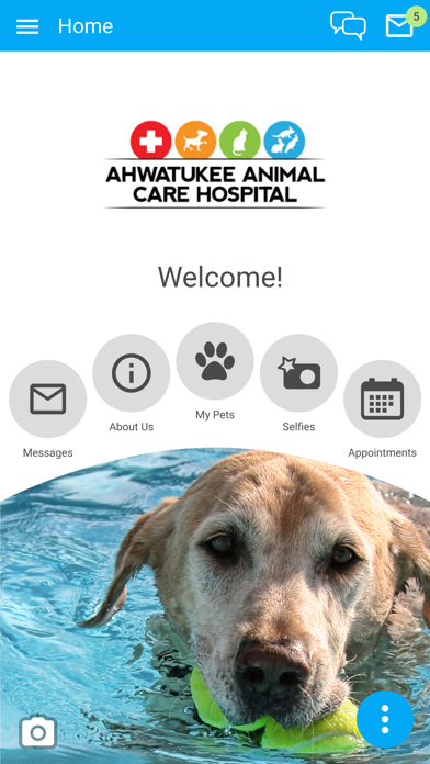 Ahwatukee Animal Care Screenshot