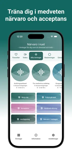 Närvaro i nuet screenshot 1