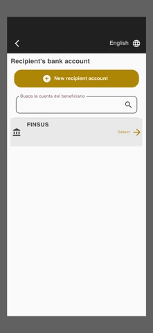 Remesas BAHU Processing Screenshot 4 of 6