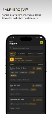 Alfaero VIP screenshot