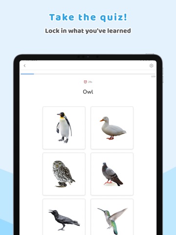 Word Explorer: Fun with Words iPad screenshot