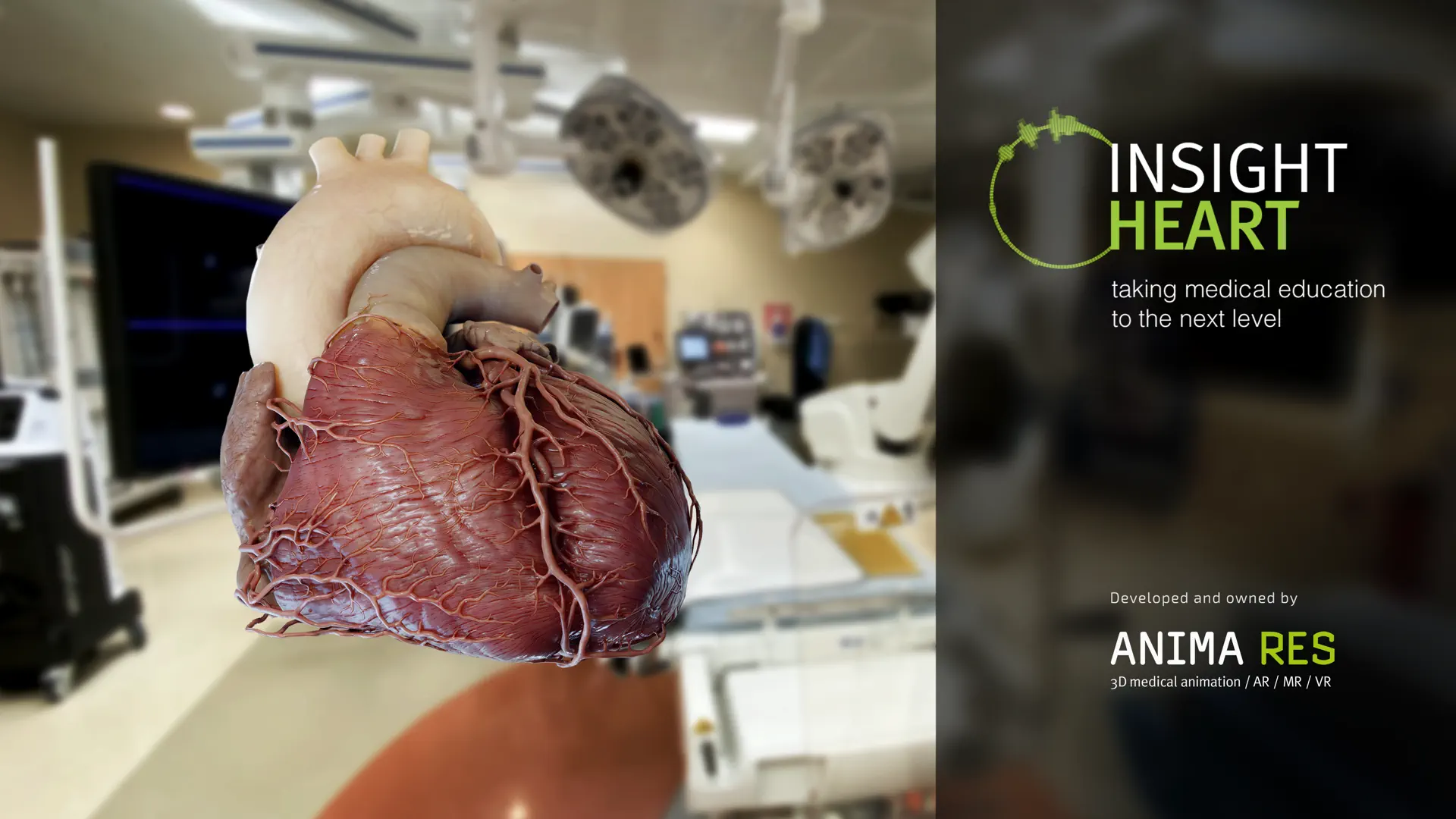 INSIGHT HEART screenshot 8