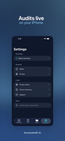 AccessAudit AI screenshot