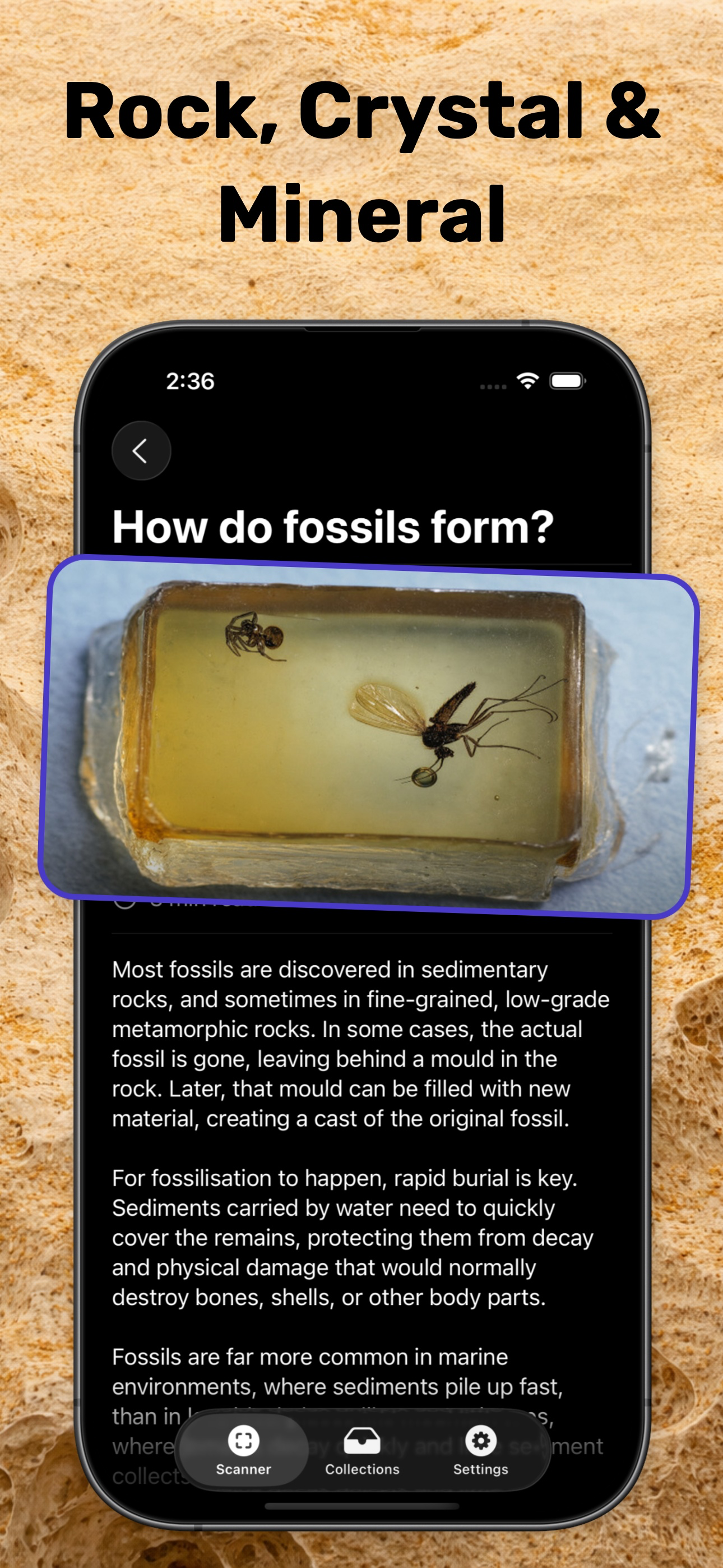Fossil Identifier & Rock ID