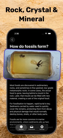 Fossil Identifier & Rock ID iPhone screenshot
