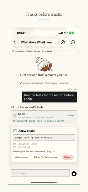 Whelk: Private AI & Agents screenshot 2