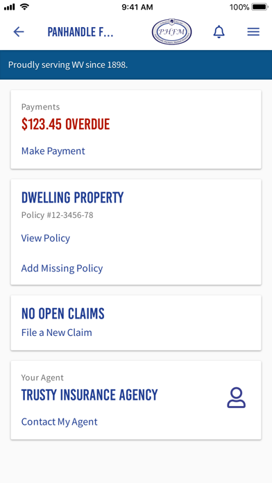 Screenshot #2 pour Panhandle Ins