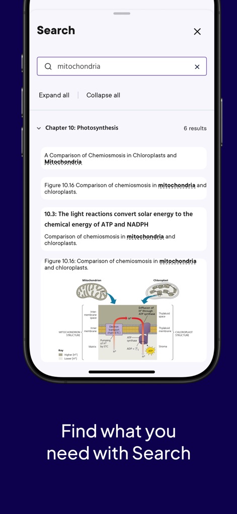 Pearson+ | Study Prep & eTexts - The powerful 'search function' allows users to quickly locate specific terms like 'mitochondria' across their eTextbook content, displaying results organized by chapter.