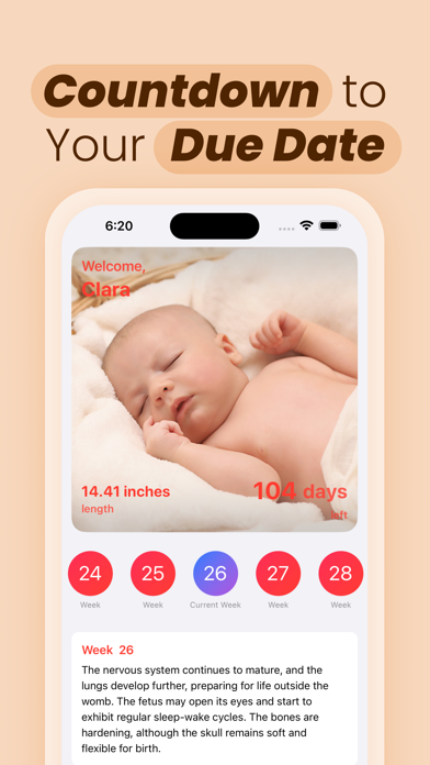 Baby Count down Due Date Track Screenshot