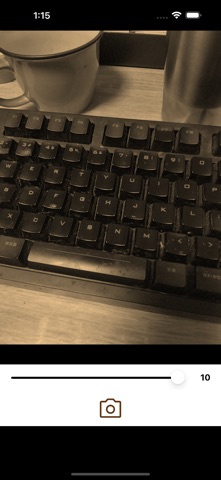 简单的棕褐色相机 screenshot