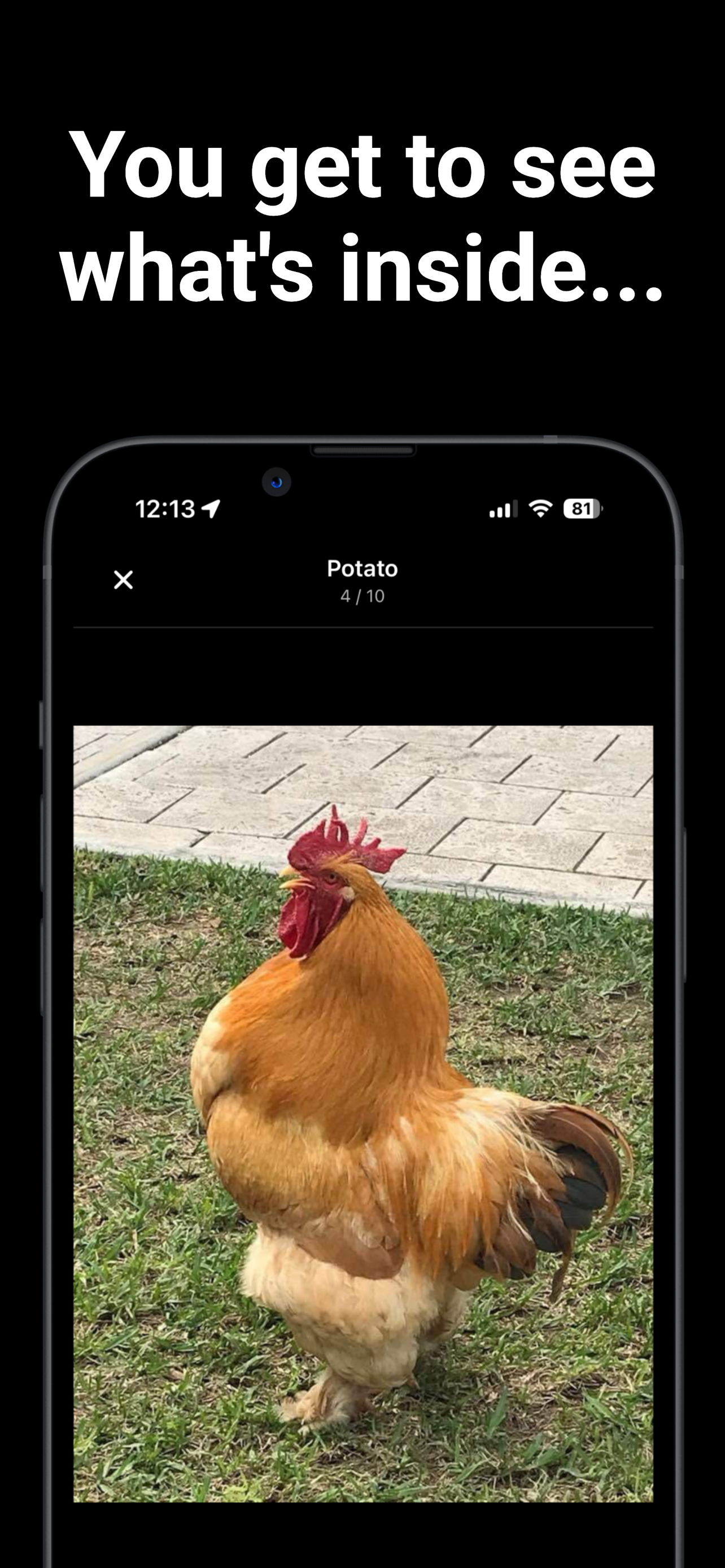 POPt (c92856)