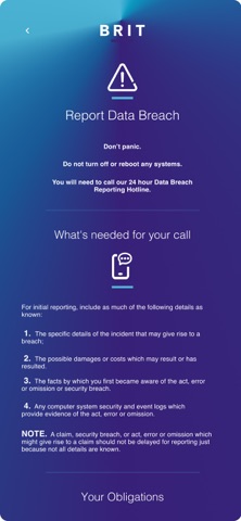 Brit's Cyber Response Screenshot 2 of 3