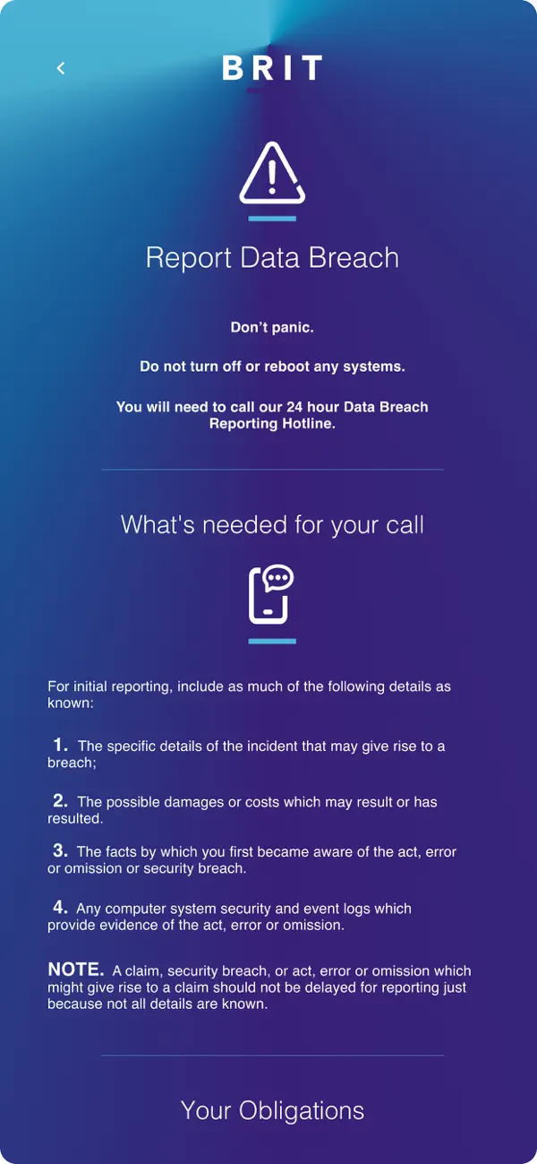 Screenshot #2 pour Brit's Cyber Response