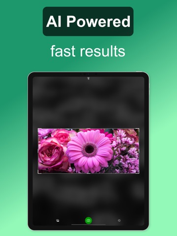 Flower Identifier: ID Scanner ipad screenshot 3
