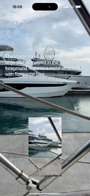 HelpUSee – Help You See screenshot 1