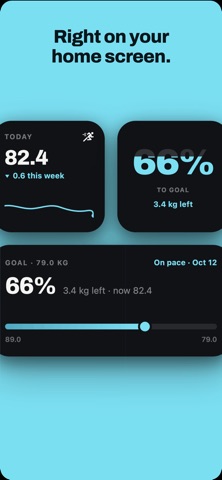 Downhill: Weight Trend Tracker screenshot