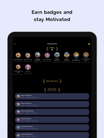 ScreenMindful: Digital Detox iPad screenshot