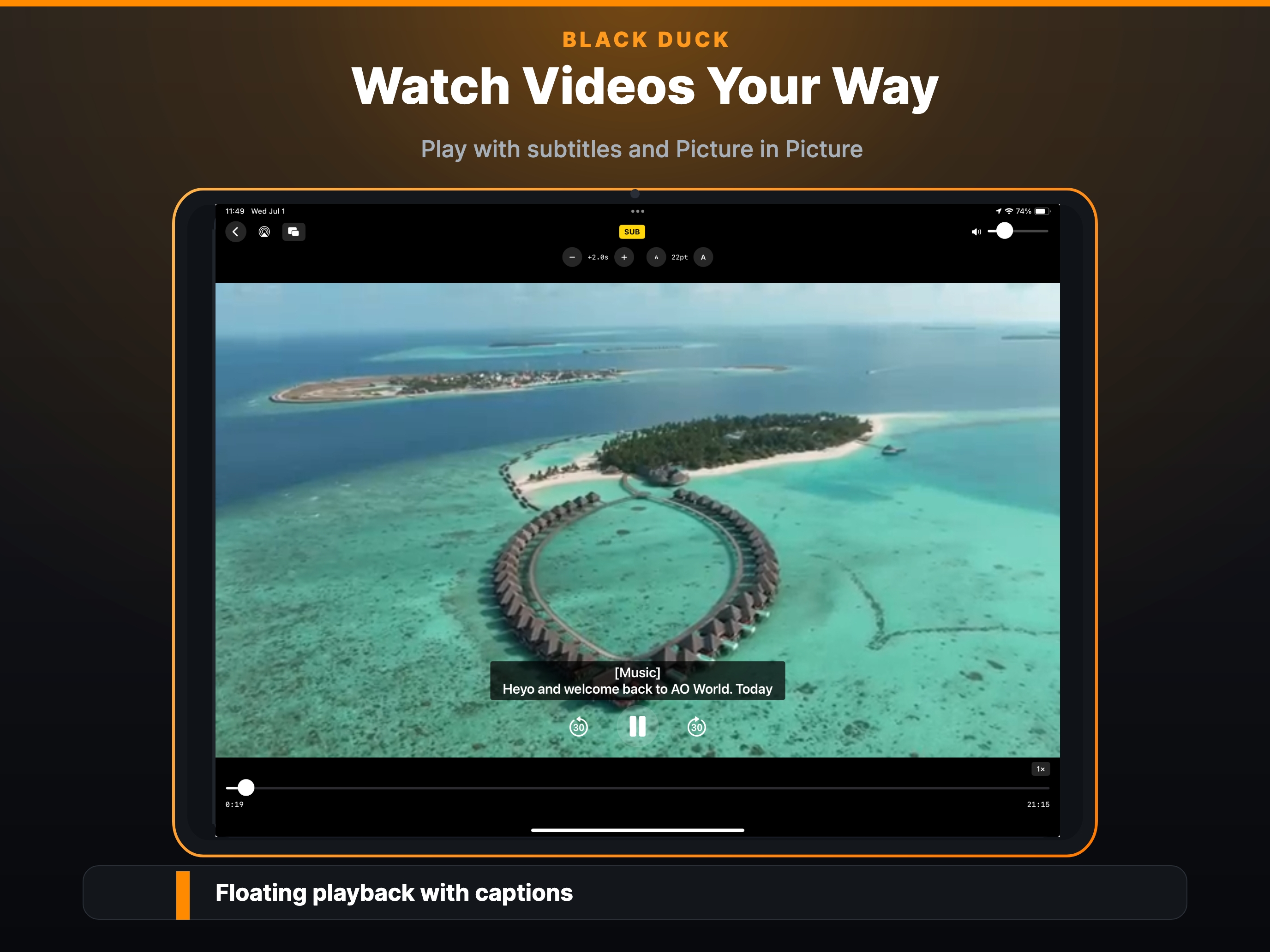 Black Duck Media Library screenshot 10