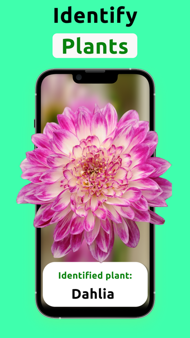 AI Plant Identifier: SnapFlora Screenshot