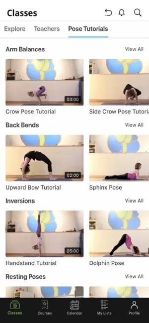 Yogis Anonymous screenshot 4