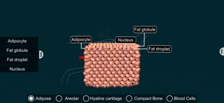 Connective Tissues-EduTech Era iPhone screenshot