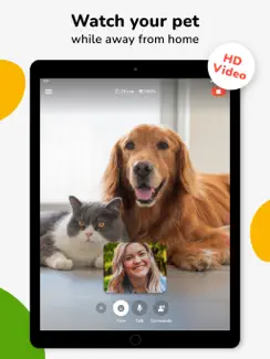 Barkio: Dog Monitor & Pet Cam iPad image 3
