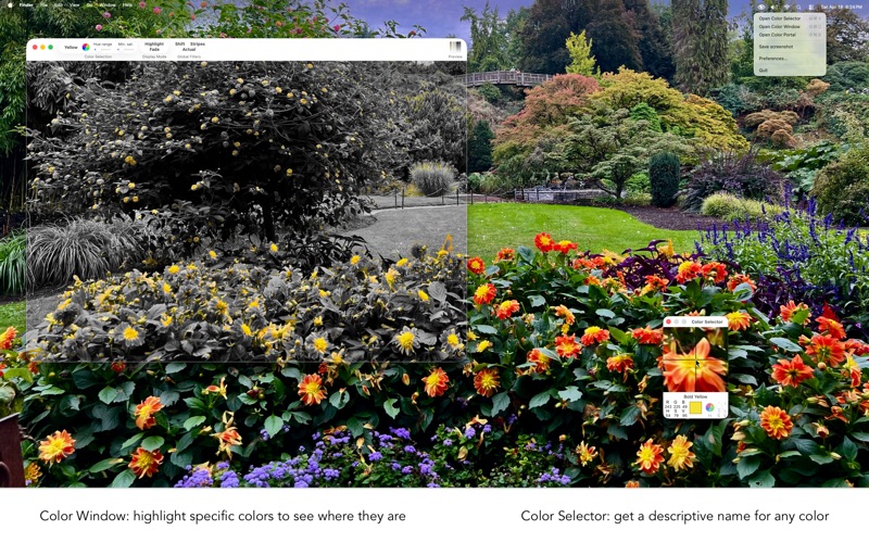 Screenshot #1 pour Color Blind Pal