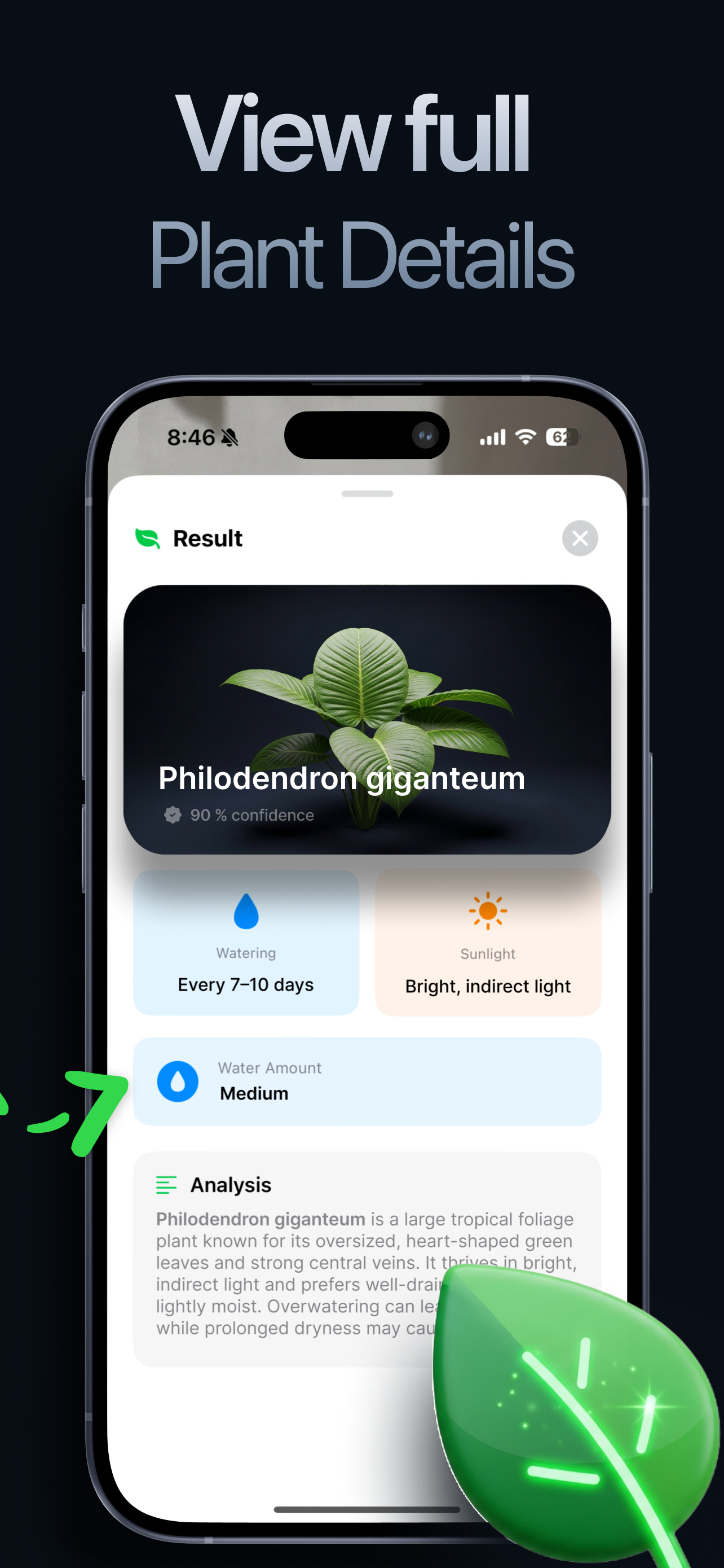 Scale Gram - Digital Weight AI