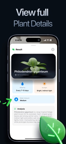 Scale Gram - Digital Weight AI iPhone screenshot