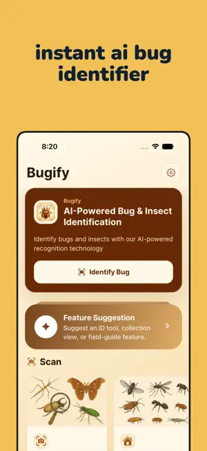 Bugify: Insect Identifier screenshot 1