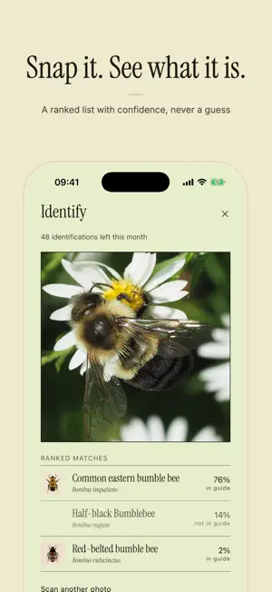 Entoma: Insect Field Guide screenshot 1