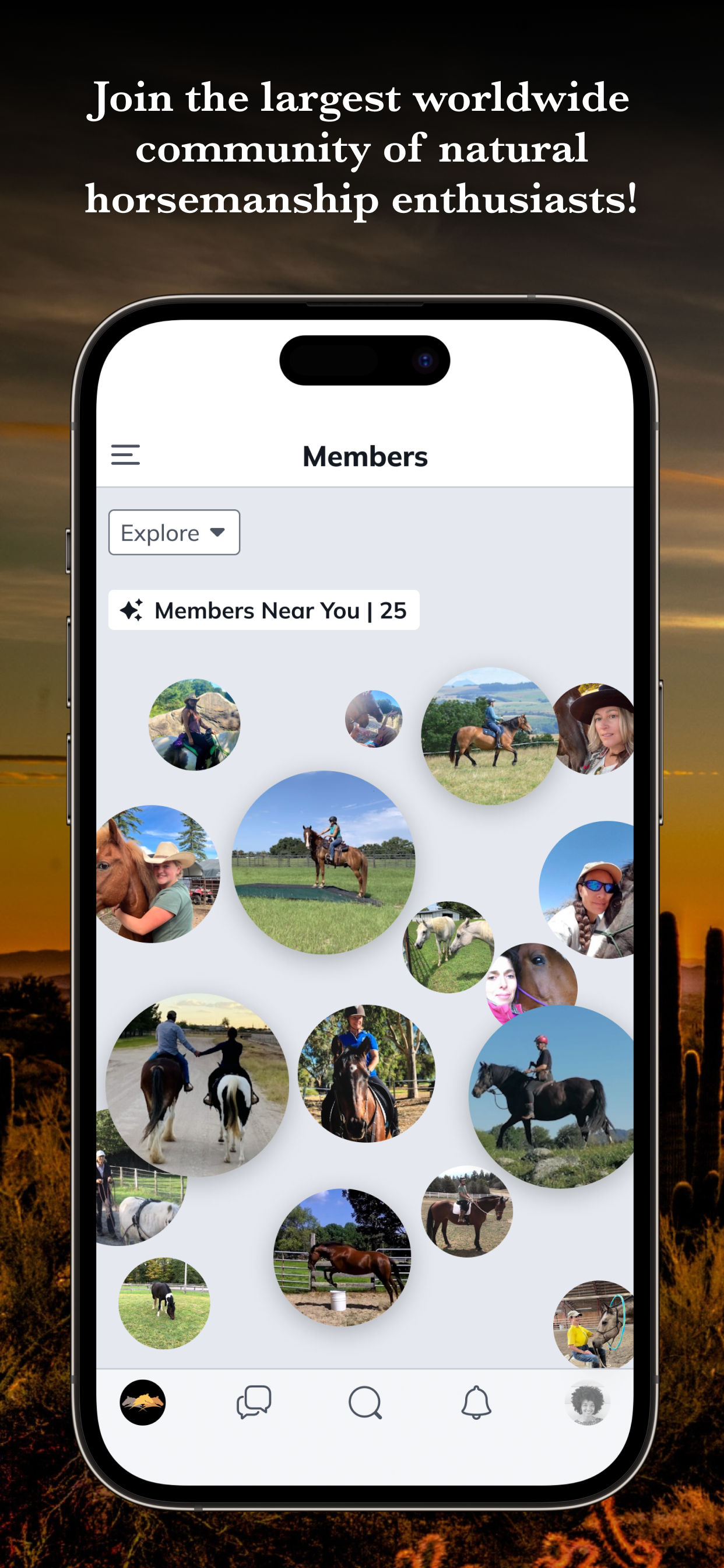 Parelli Natural Horsemanship