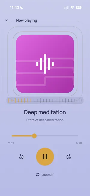 StereoPrana screenshot 2