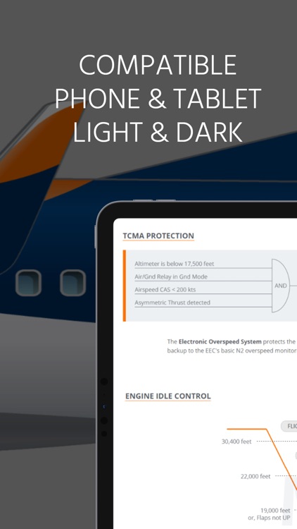 B737 MRG screenshot-8