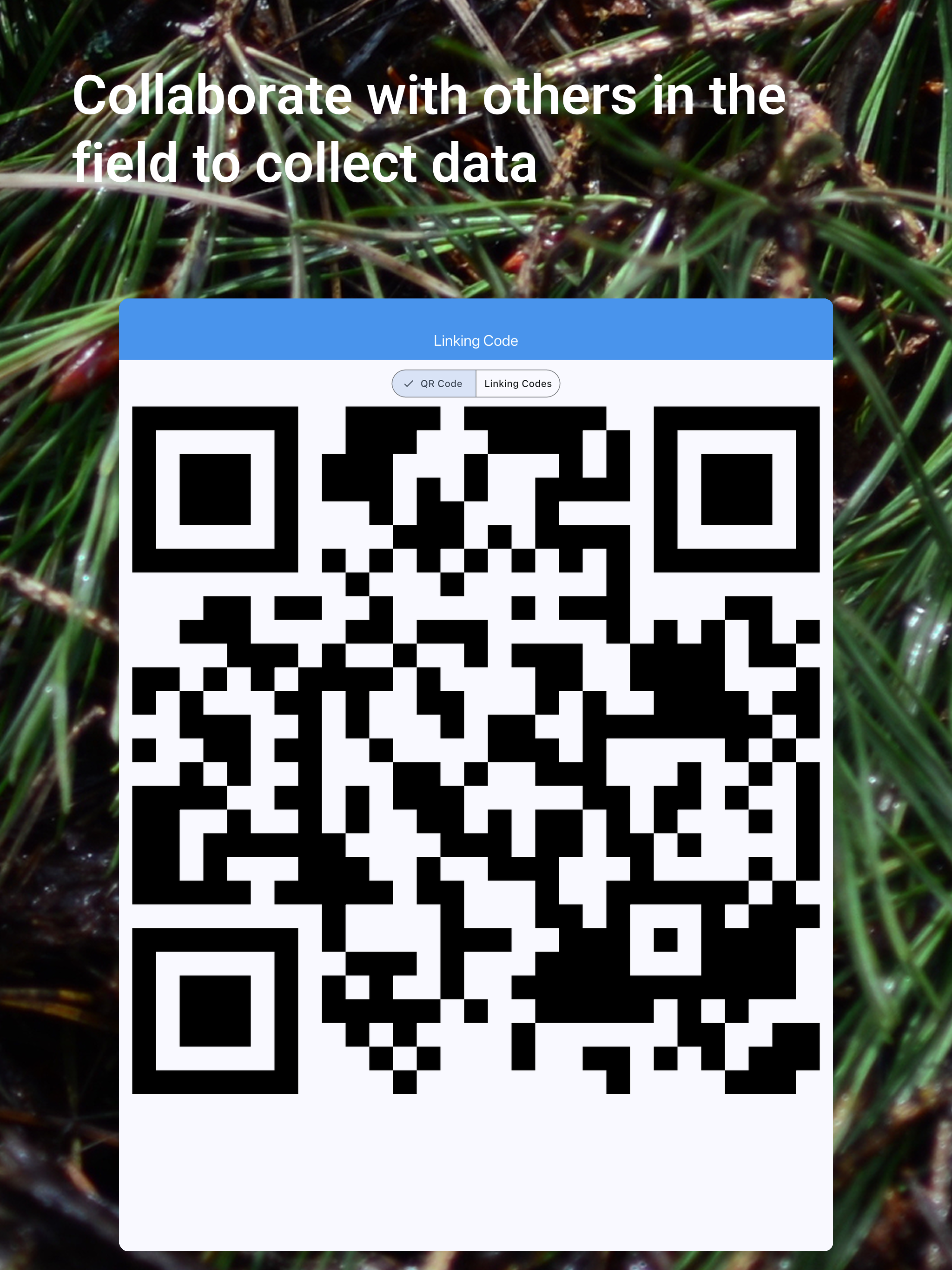 Fuels Data